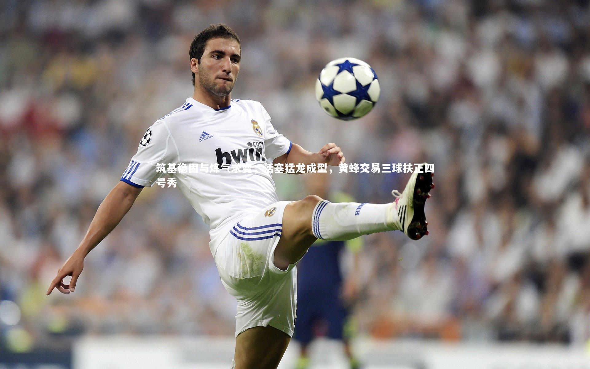 开云体育下载|筑基稳固与炼气求变，活塞猛龙成型，黄蜂交易三球扶正四号秀